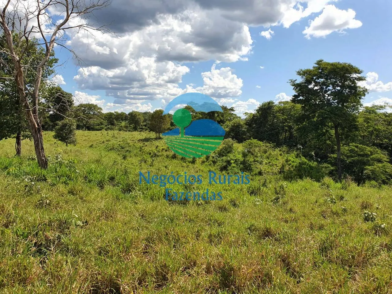 Farm for sale of 2,464 acres in Campinorte, GO, Brazil