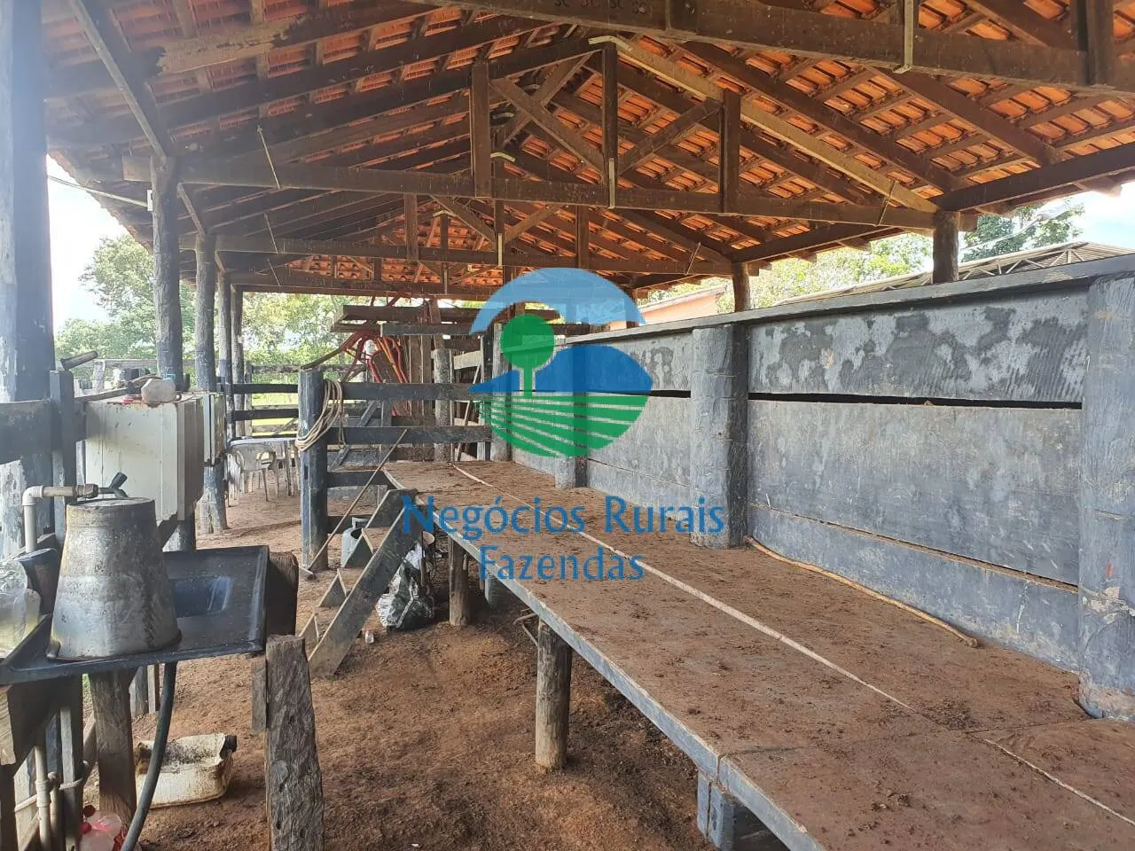 Farm for sale of 2,464 acres in Campinorte, GO, Brazil
