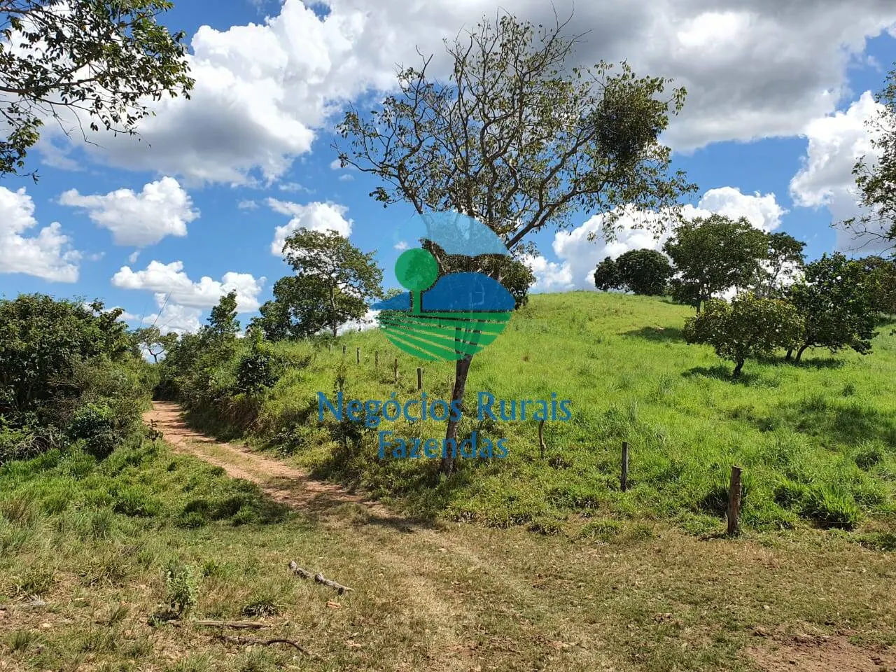 Farm for sale of 2,464 acres in Campinorte, GO, Brazil