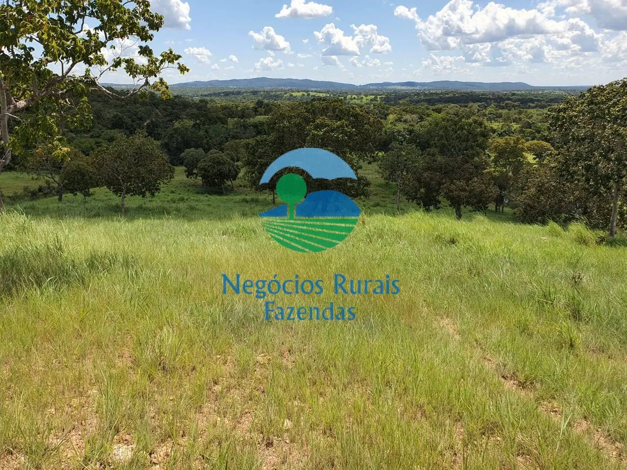 Farm for sale of 2,464 acres in Campinorte, GO, Brazil