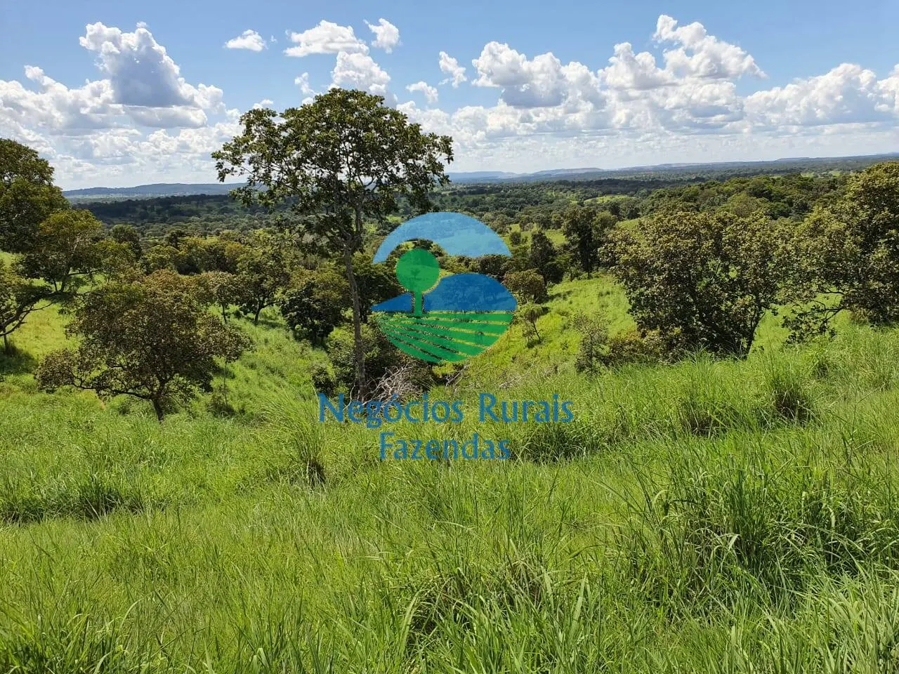 Farm for sale of 2,464 acres in Campinorte, GO, Brazil