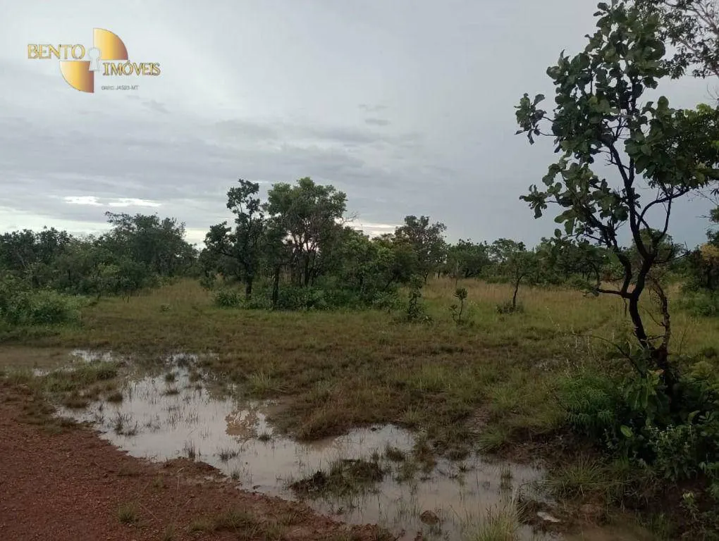 Fazenda à venda de 1.142 ha em Porto Alegre do Norte, MT, Brasil