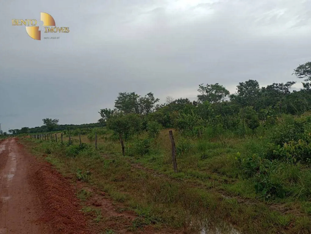 Fazenda à venda de 1.142 ha em Porto Alegre do Norte, MT, Brasil