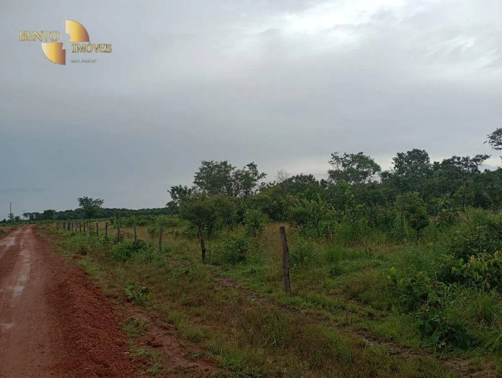 Fazenda à venda de 1.142 ha em Porto Alegre do Norte, MT, Brasil
