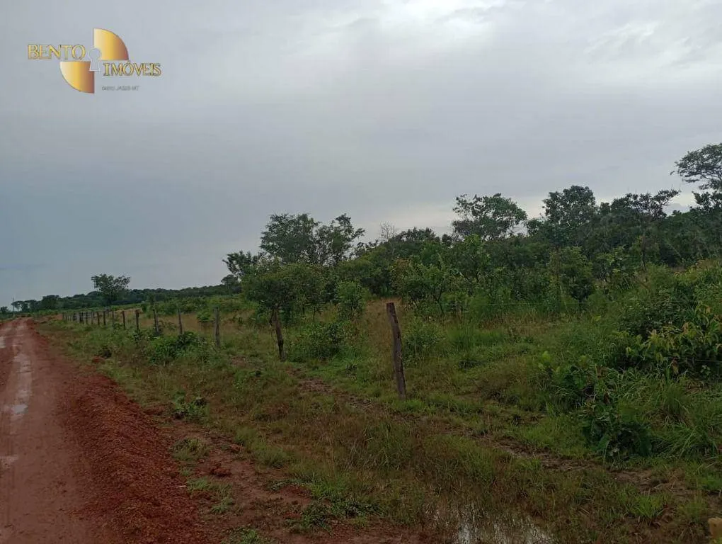 Fazenda à venda de 1.142 ha em Porto Alegre do Norte, MT, Brasil