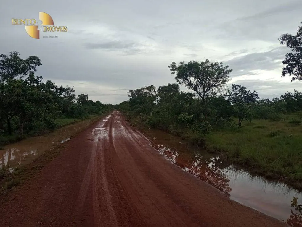 Fazenda à venda de 1.142 ha em Porto Alegre do Norte, MT, Brasil
