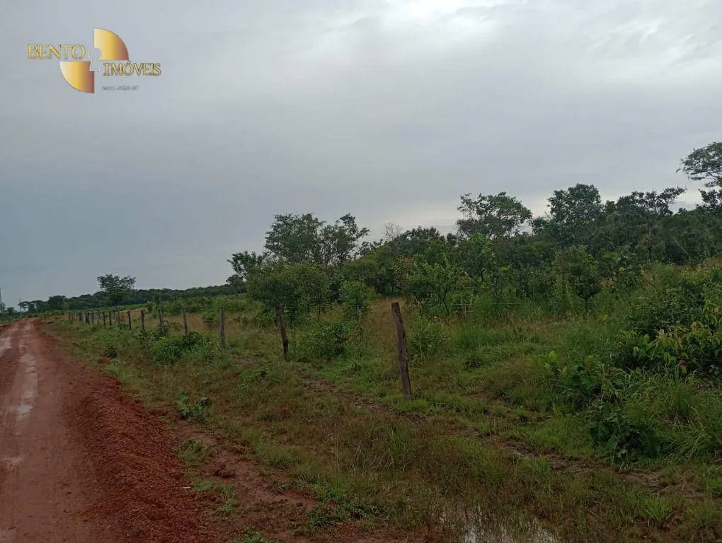 Fazenda à venda de 1.142 ha em Porto Alegre do Norte, MT, Brasil