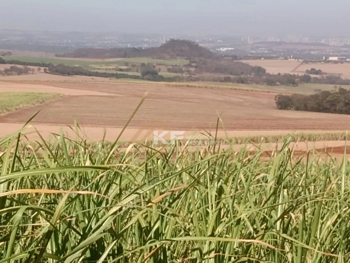 Fazenda à venda de 82 ha em Brodowski, SP, Brasil