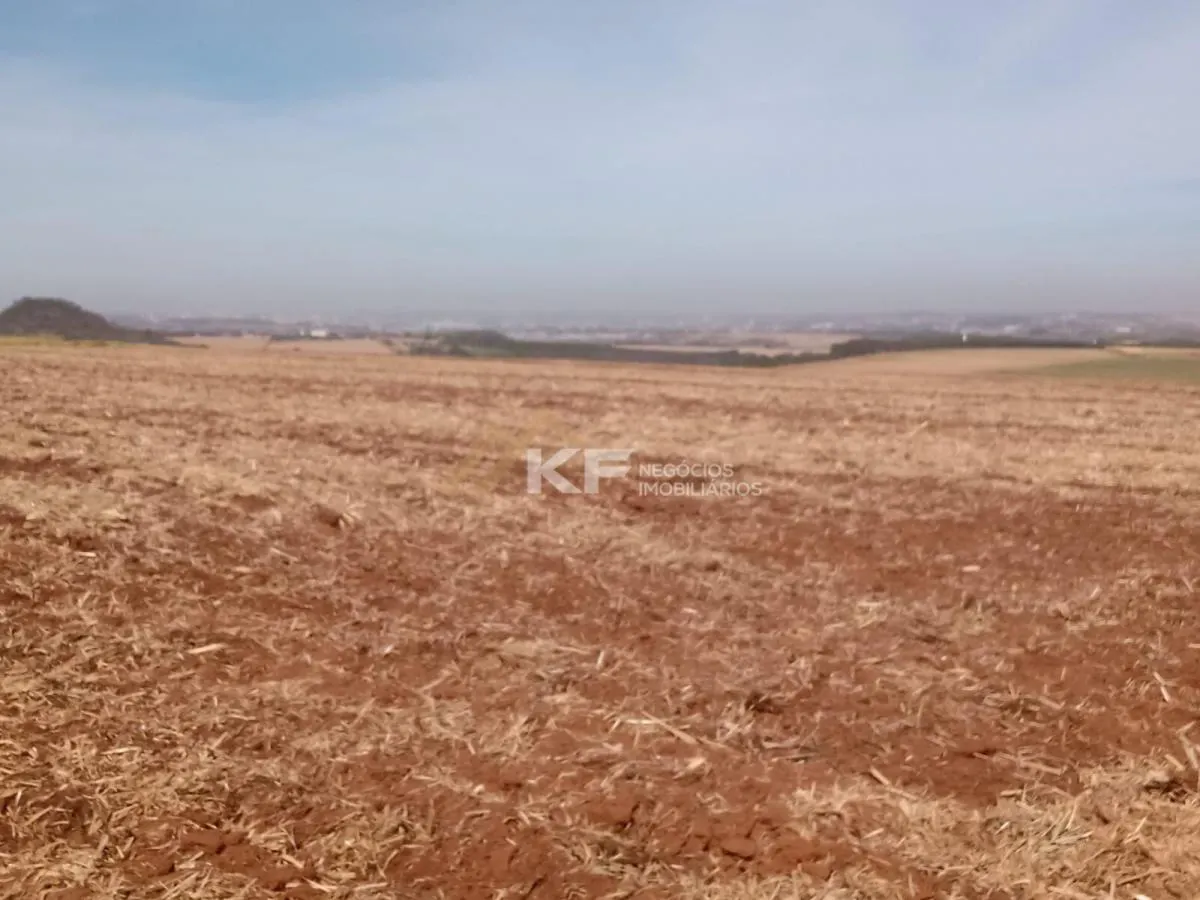 Fazenda à venda de 82 ha em Brodowski, SP, Brasil