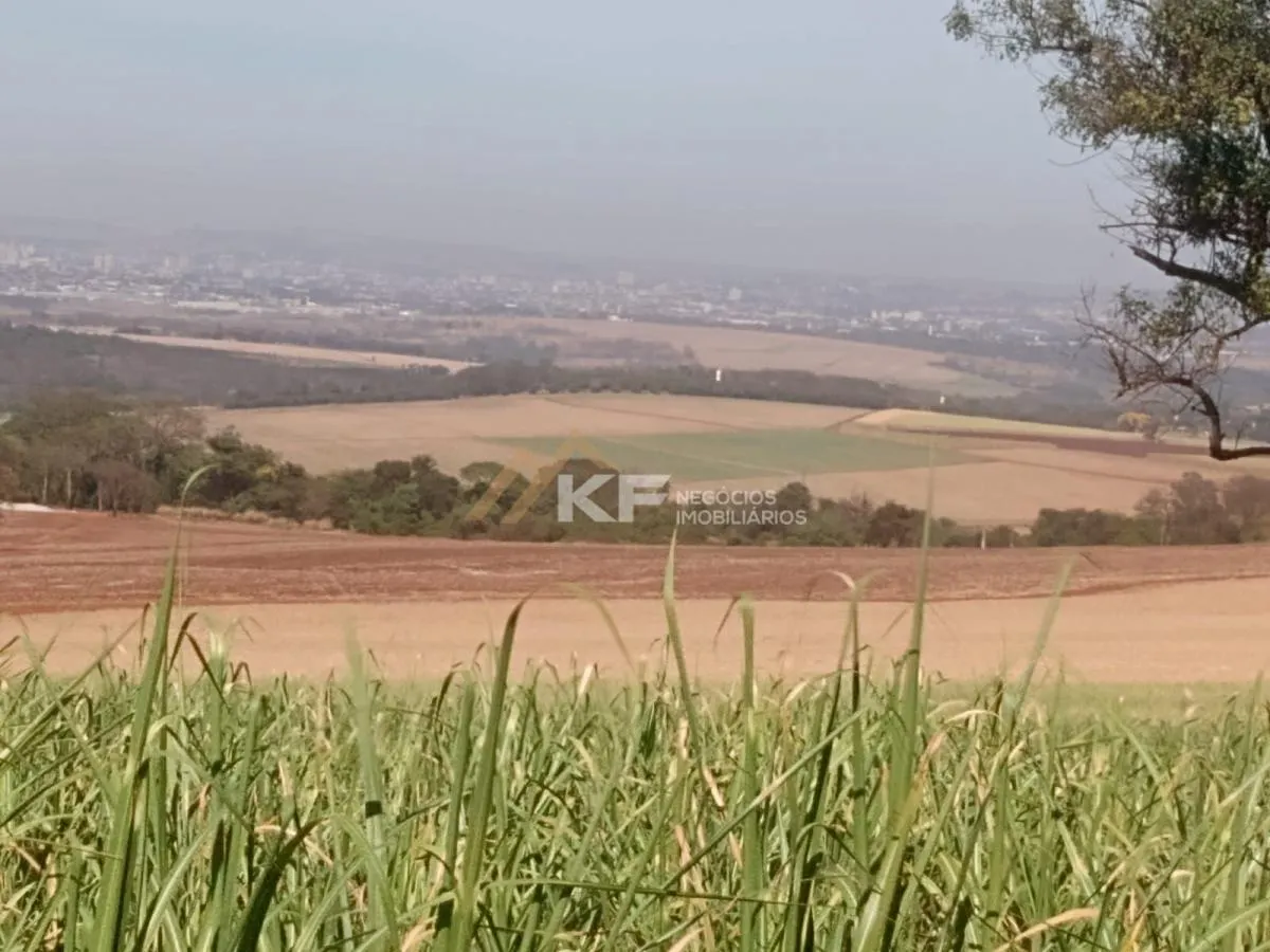 Fazenda à venda de 82 ha em Brodowski, SP, Brasil