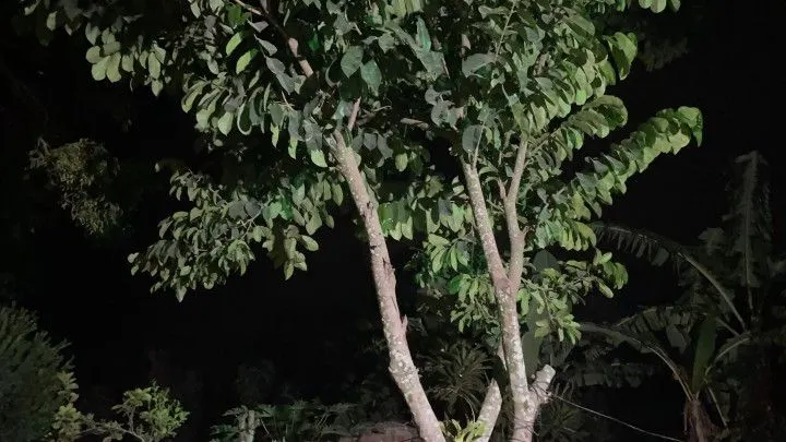 Country home for sale of 940 m² in Viamão, RS, Brazil
