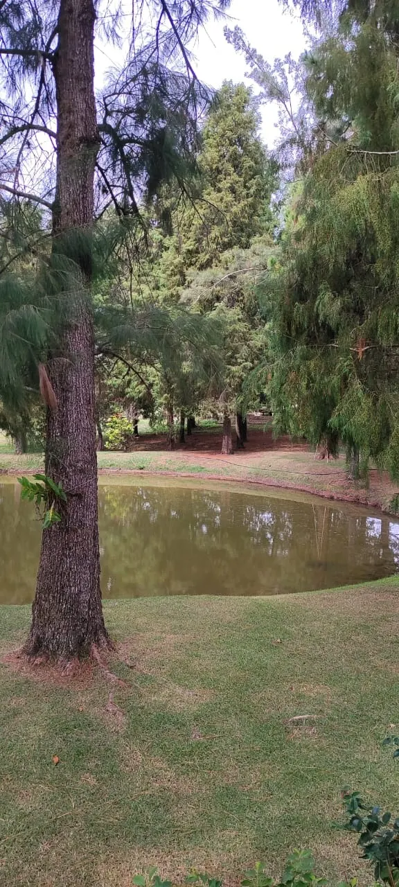 Fazenda à venda de 22 ha em Itapetininga, SP, Brasil