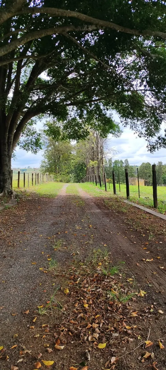 Fazenda à venda de 22 ha em Itapetininga, SP, Brasil