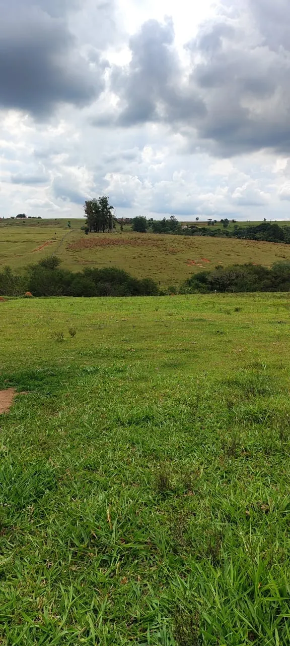 Fazenda à venda de 22 ha em Itapetininga, SP, Brasil