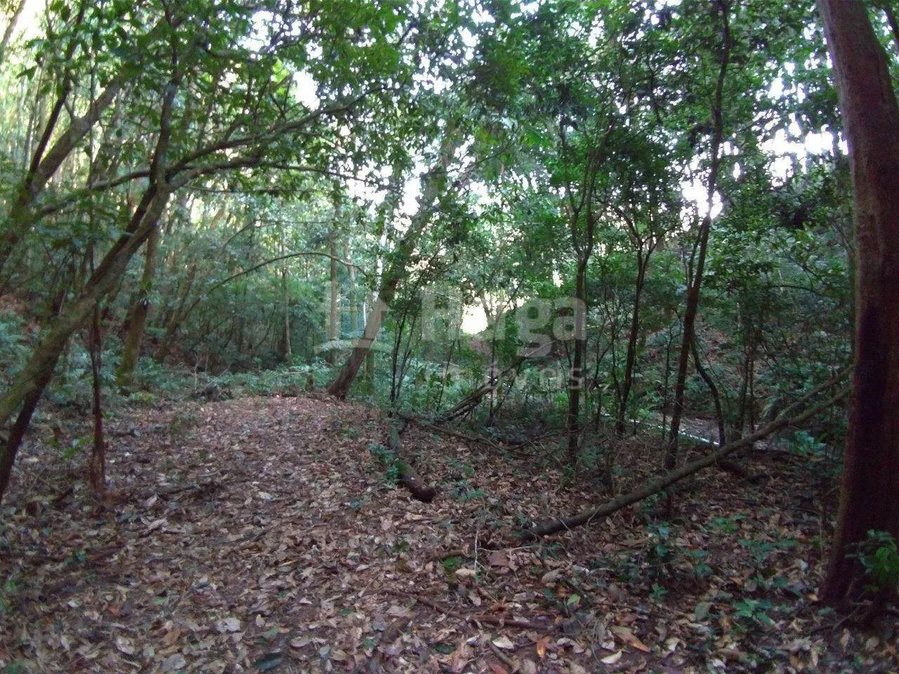 Fazenda à venda de 5 ha em Gaspar, SC, Brasil