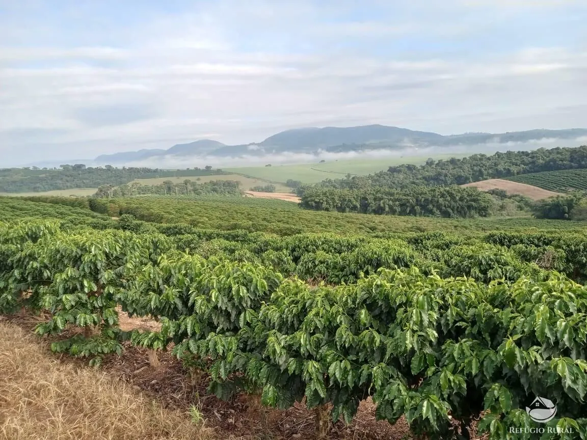 Farm for sale of 245 acres in Divisa Nova, MG, Brazil