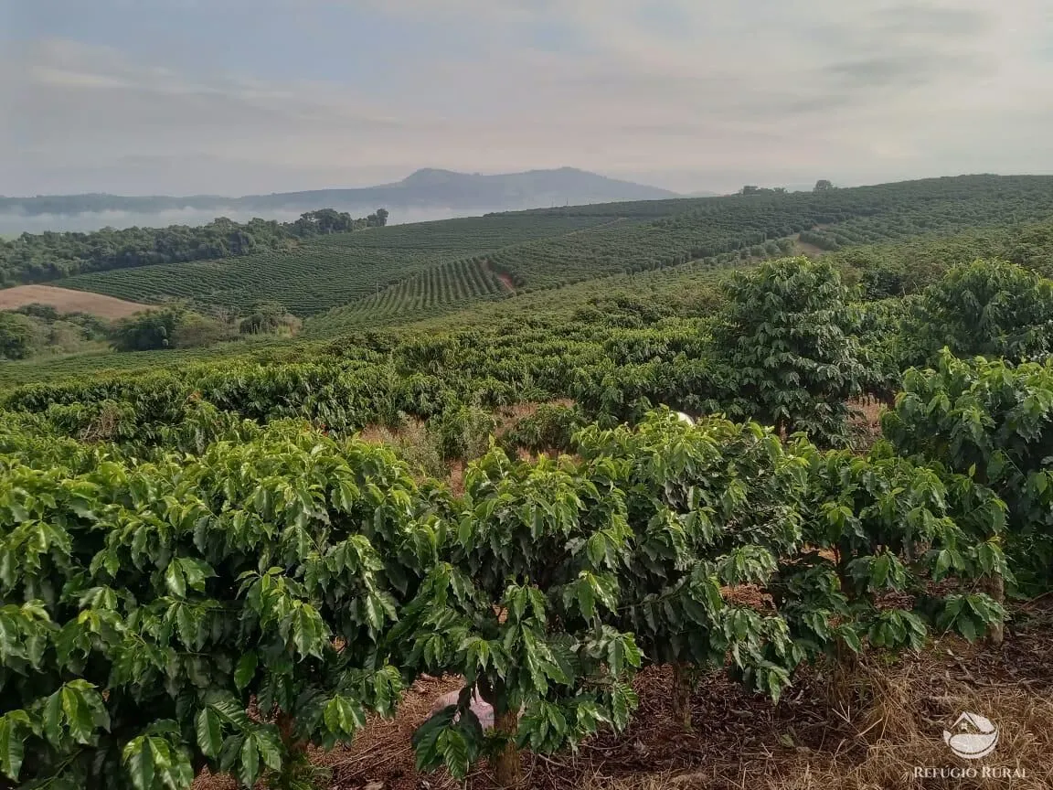 Farm for sale of 245 acres in Divisa Nova, MG, Brazil