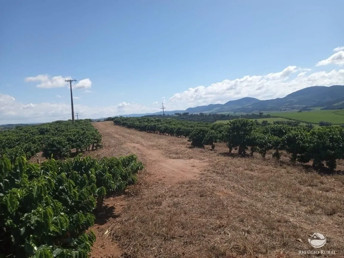 Farm for sale of 245 acres in Divisa Nova, MG, Brazil
