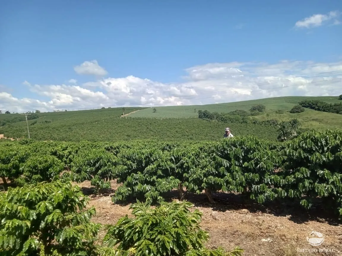 Farm for sale of 245 acres in Divisa Nova, MG, Brazil