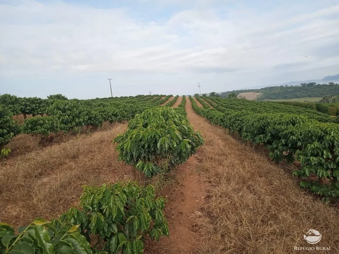 Farm for sale of 245 acres in Divisa Nova, MG, Brazil