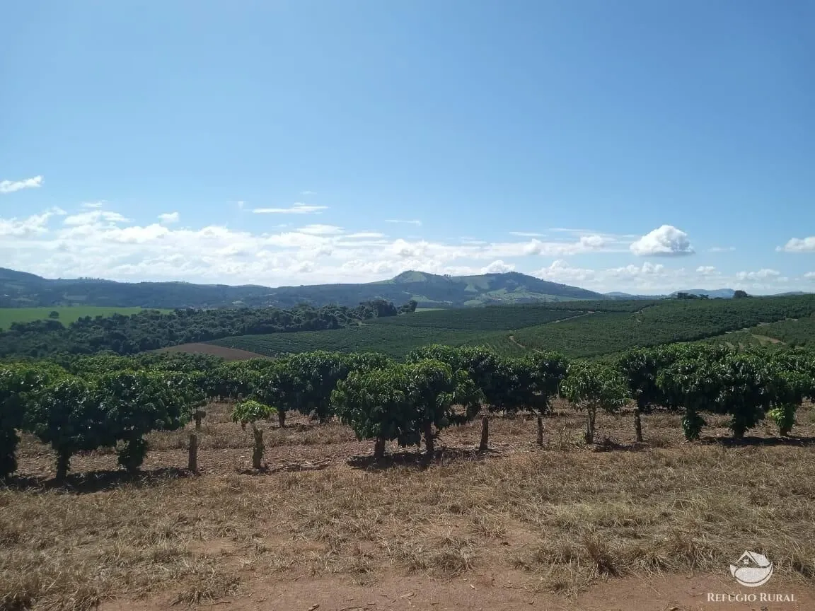 Farm for sale of 245 acres in Divisa Nova, MG, Brazil