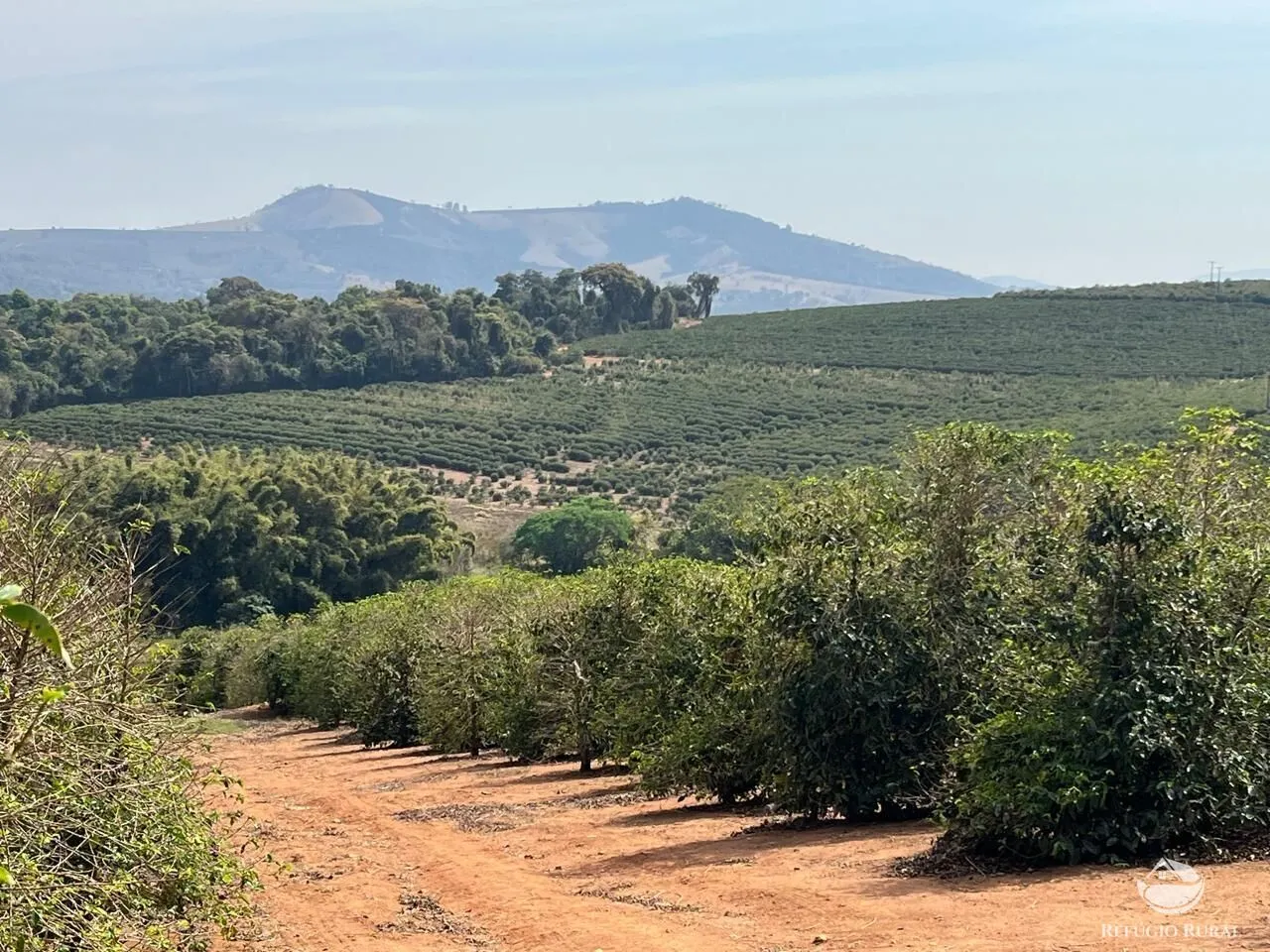 Fazenda à venda de 99 ha em Divisa Nova, MG, Brasil