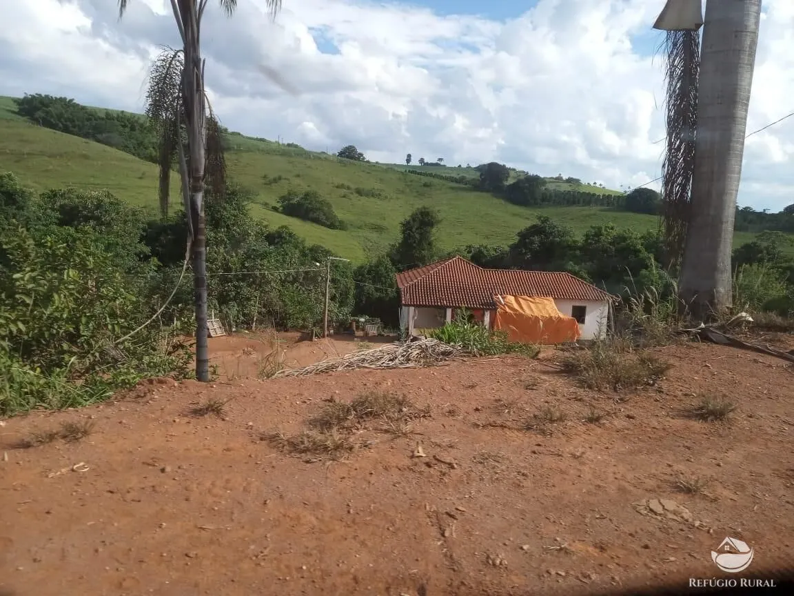 Farm for sale of 245 acres in Divisa Nova, MG, Brazil