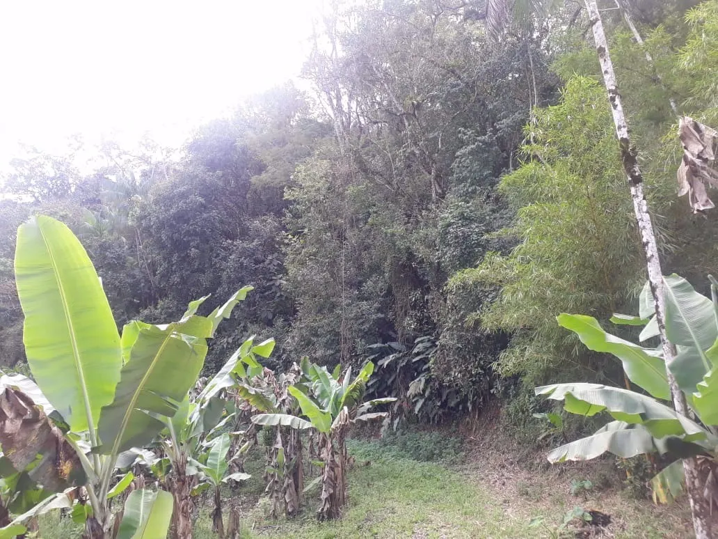Sítio à venda de 12 ha em Miracatu, SP, Brasil