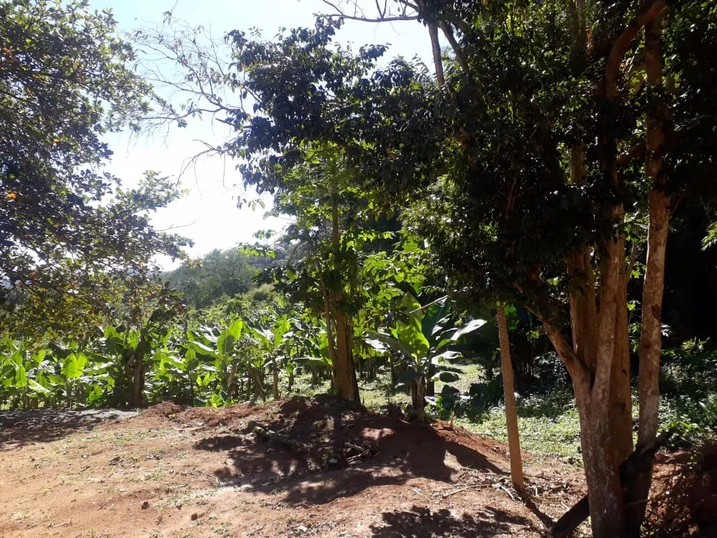 Sítio à venda de 12 ha em Miracatu, SP, Brasil
