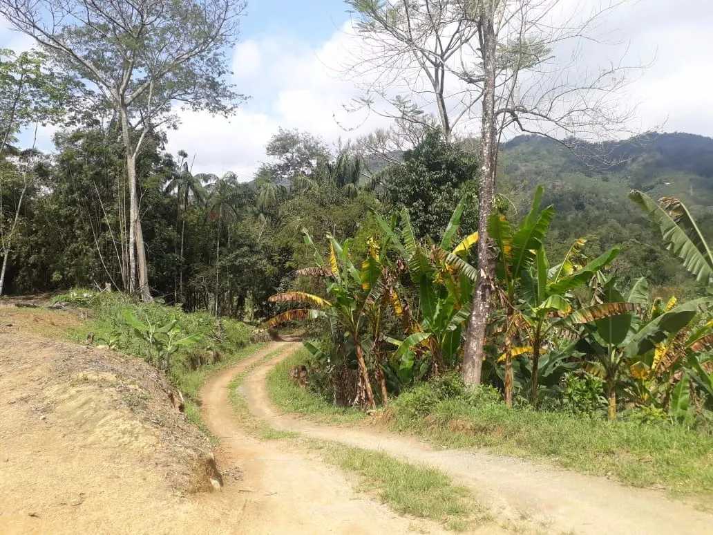 Sítio à venda de 12 ha em Miracatu, SP, Brasil