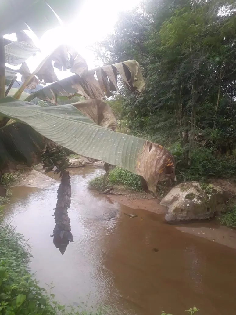 Sítio à venda de 12 ha em Miracatu, SP, Brasil