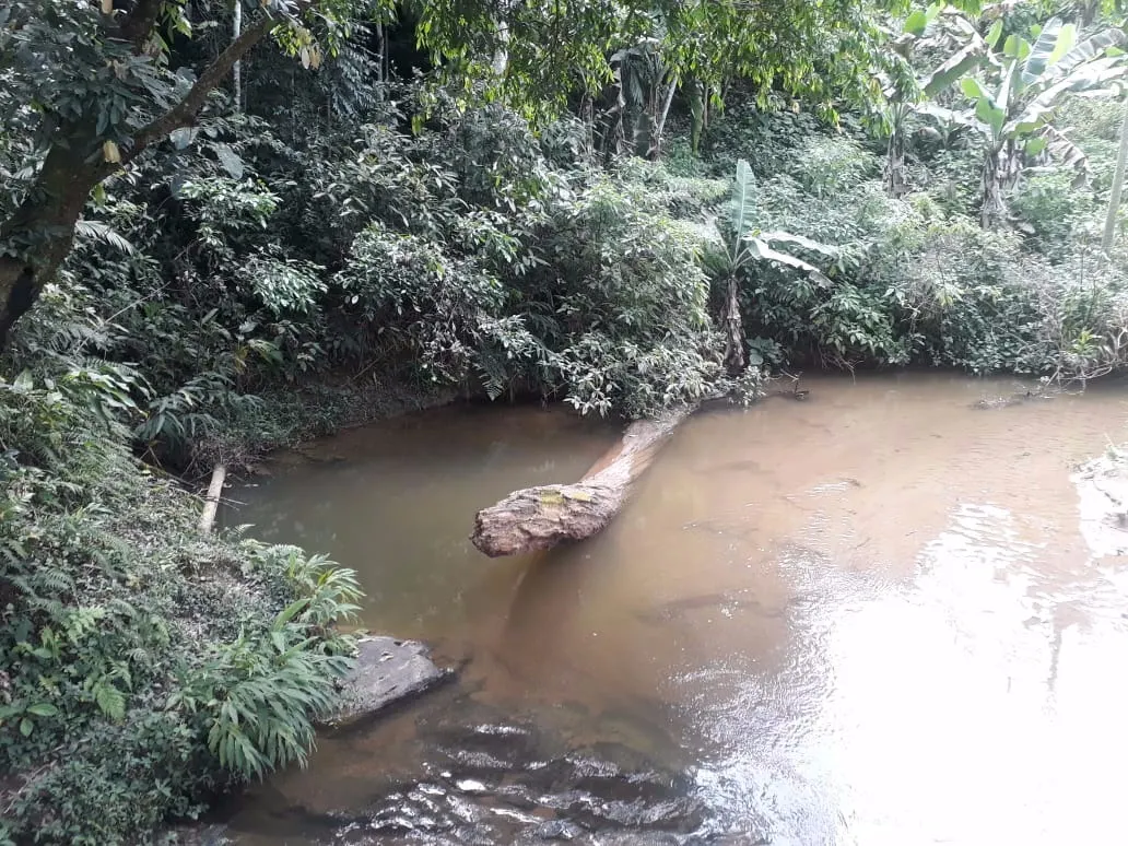 Sítio à venda de 12 ha em Miracatu, SP, Brasil
