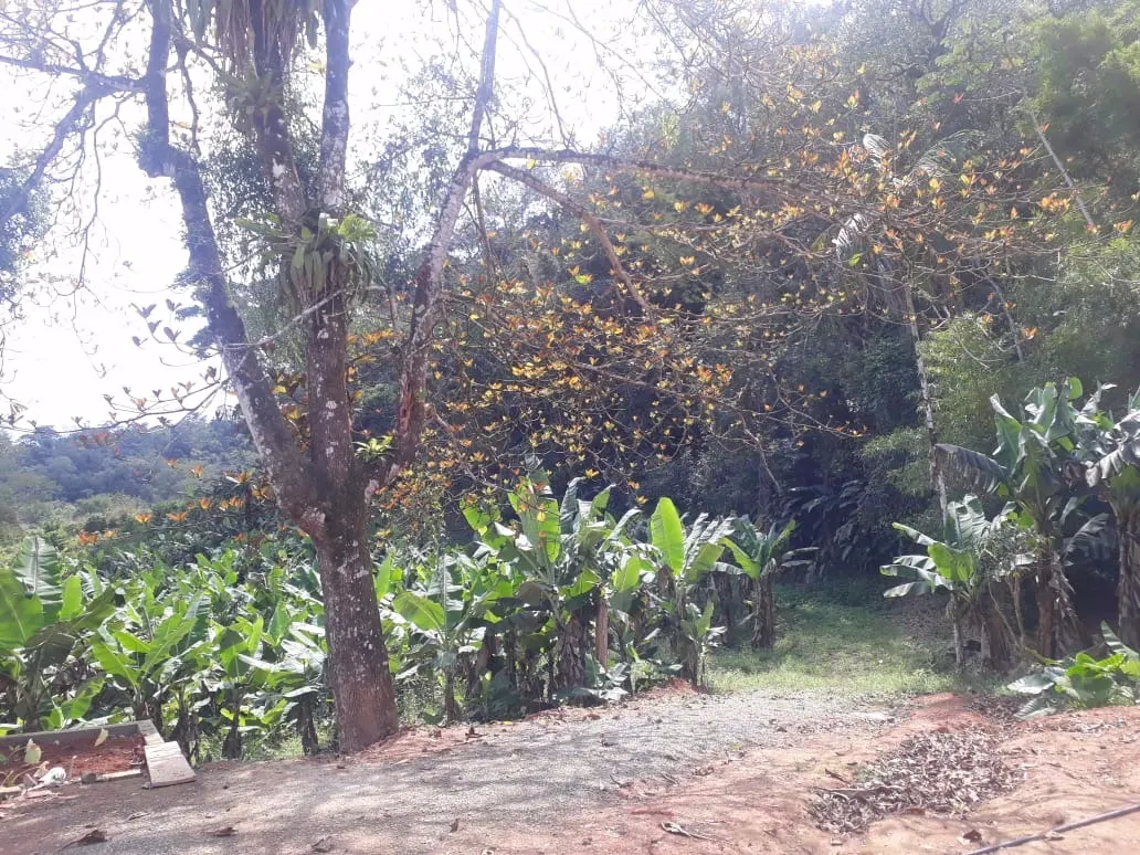 Sítio à venda de 12 ha em Miracatu, SP, Brasil