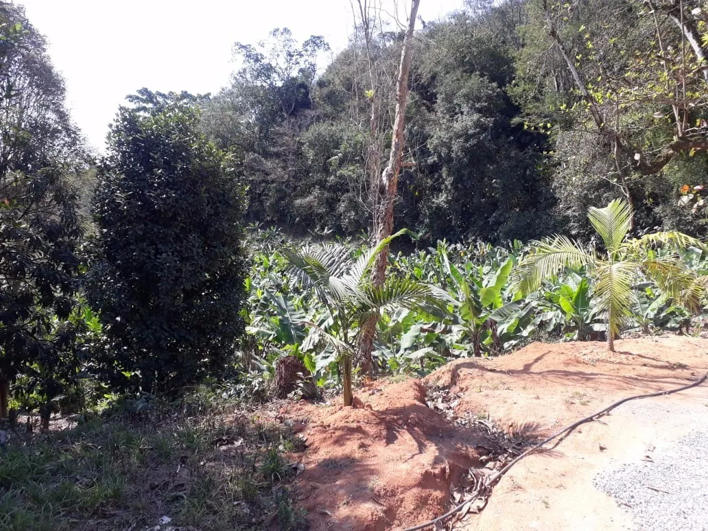 Sítio à venda de 12 ha em Miracatu, SP, Brasil