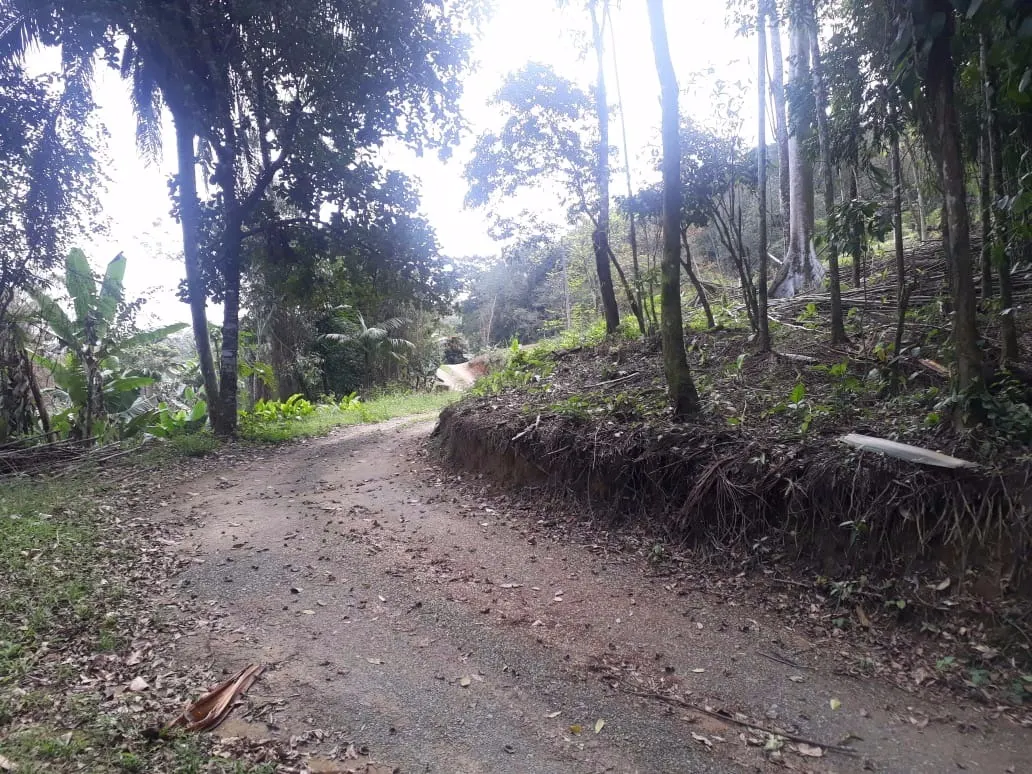 Sítio à venda de 12 ha em Miracatu, SP, Brasil