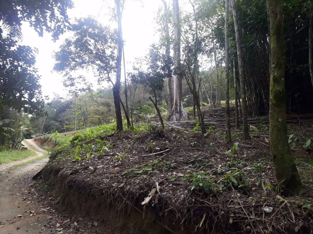 Sítio à venda de 12 ha em Miracatu, SP, Brasil