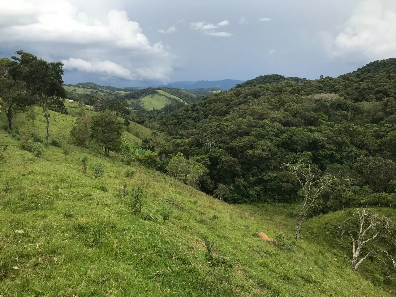 Terreno à venda de 5 ha em Santo Antônio do Pinhal, SP, Brasil