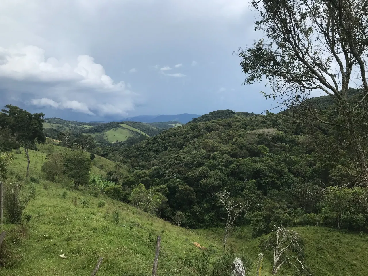 Terreno à venda de 5 ha em Santo Antônio do Pinhal, SP, Brasil