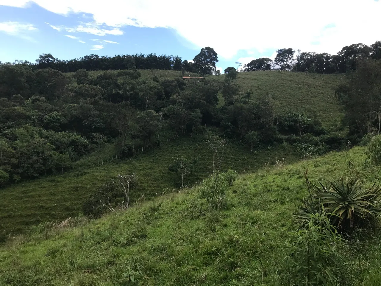 Terreno à venda de 5 ha em Santo Antônio do Pinhal, SP, Brasil