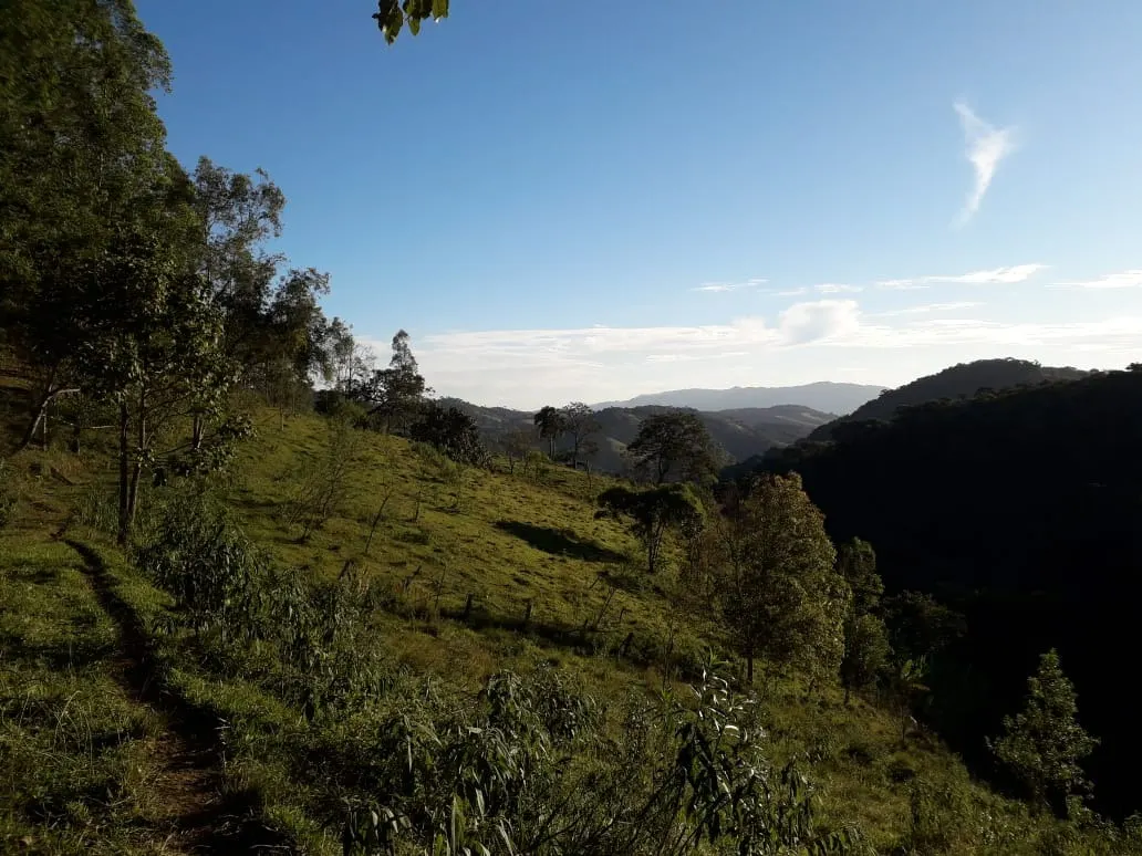 Terreno à venda de 5 ha em Santo Antônio do Pinhal, SP, Brasil