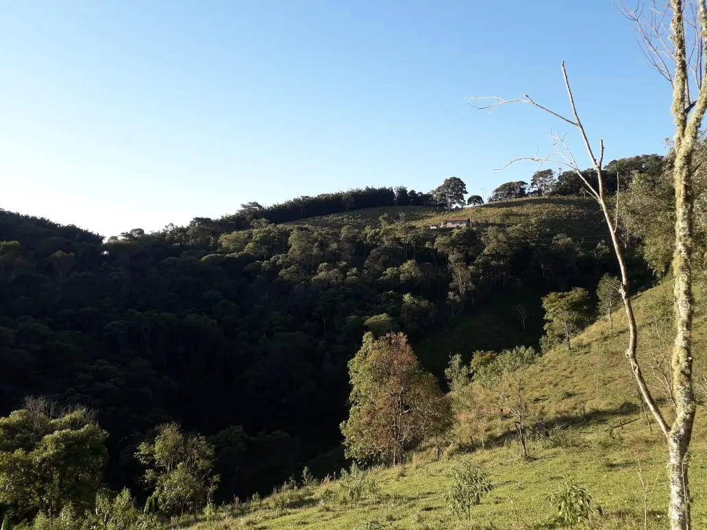 Terreno à venda de 5 ha em Santo Antônio do Pinhal, SP, Brasil