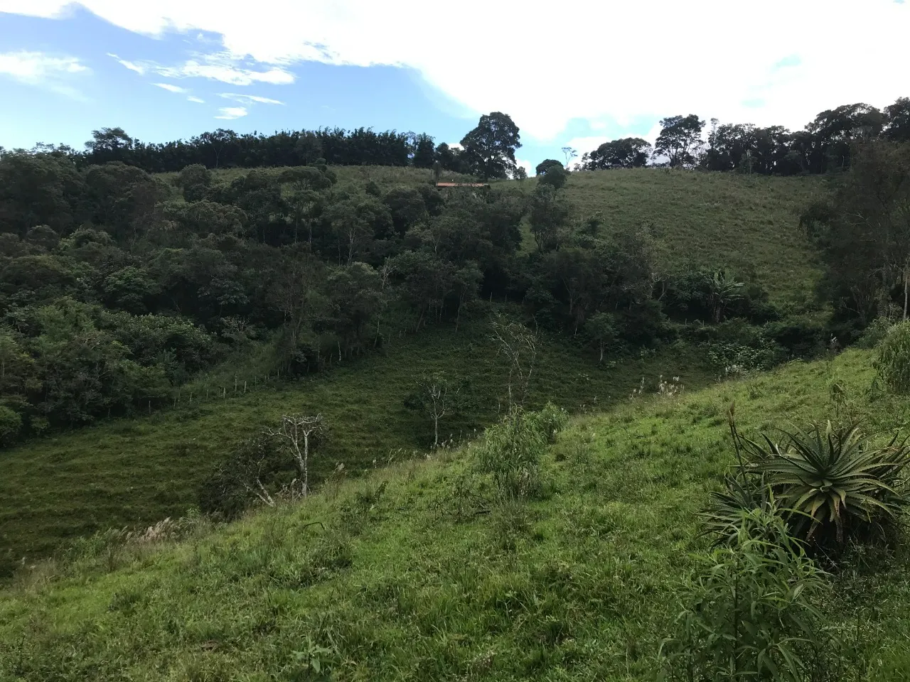 Terreno à venda de 5 ha em Santo Antônio do Pinhal, SP, Brasil