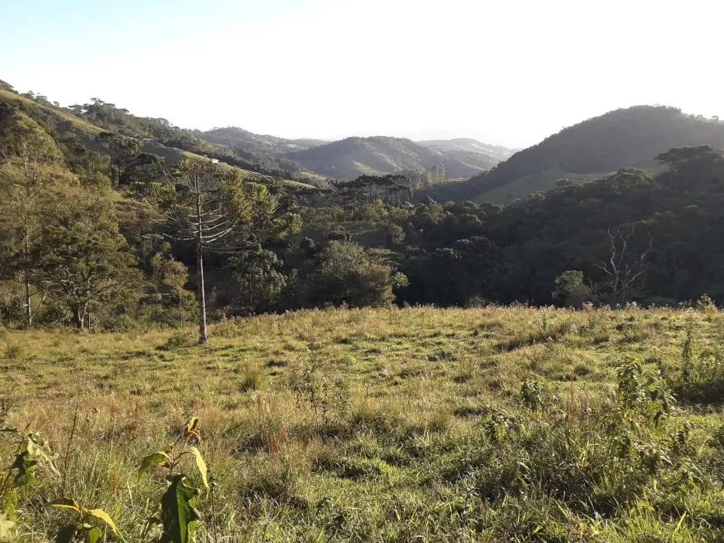 Terreno à venda de 5 ha em Santo Antônio do Pinhal, SP, Brasil