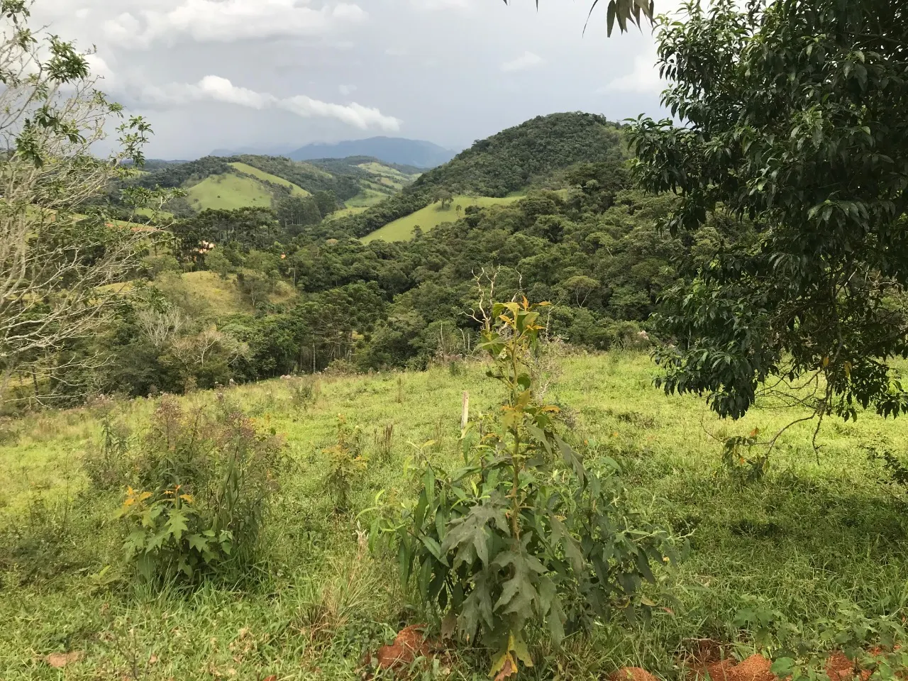 Terreno à venda de 5 ha em Santo Antônio do Pinhal, SP, Brasil