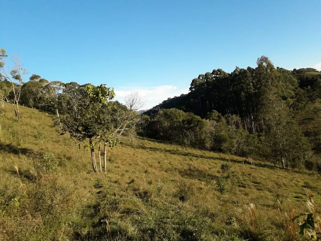 Terreno à venda de 5 ha em Santo Antônio do Pinhal, SP, Brasil