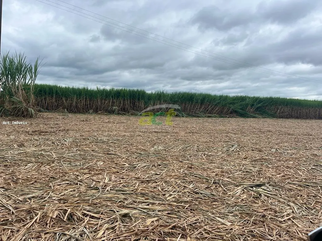 Farm for sale of 1,507 acres in Valparaíso, SP, Brazil