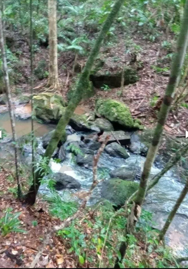 Sítio à venda de 12 ha em Juquitiba, SP, Brasil