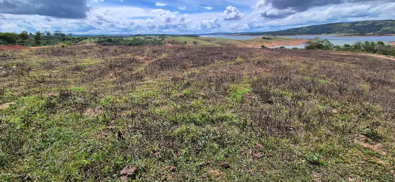 Fazenda à venda de 103 ha em Patrocínio, MG, Brasil
