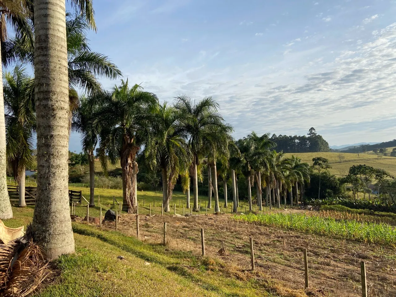 Small farm for sale of 8 acres in Paraibuna, SP, Brazil