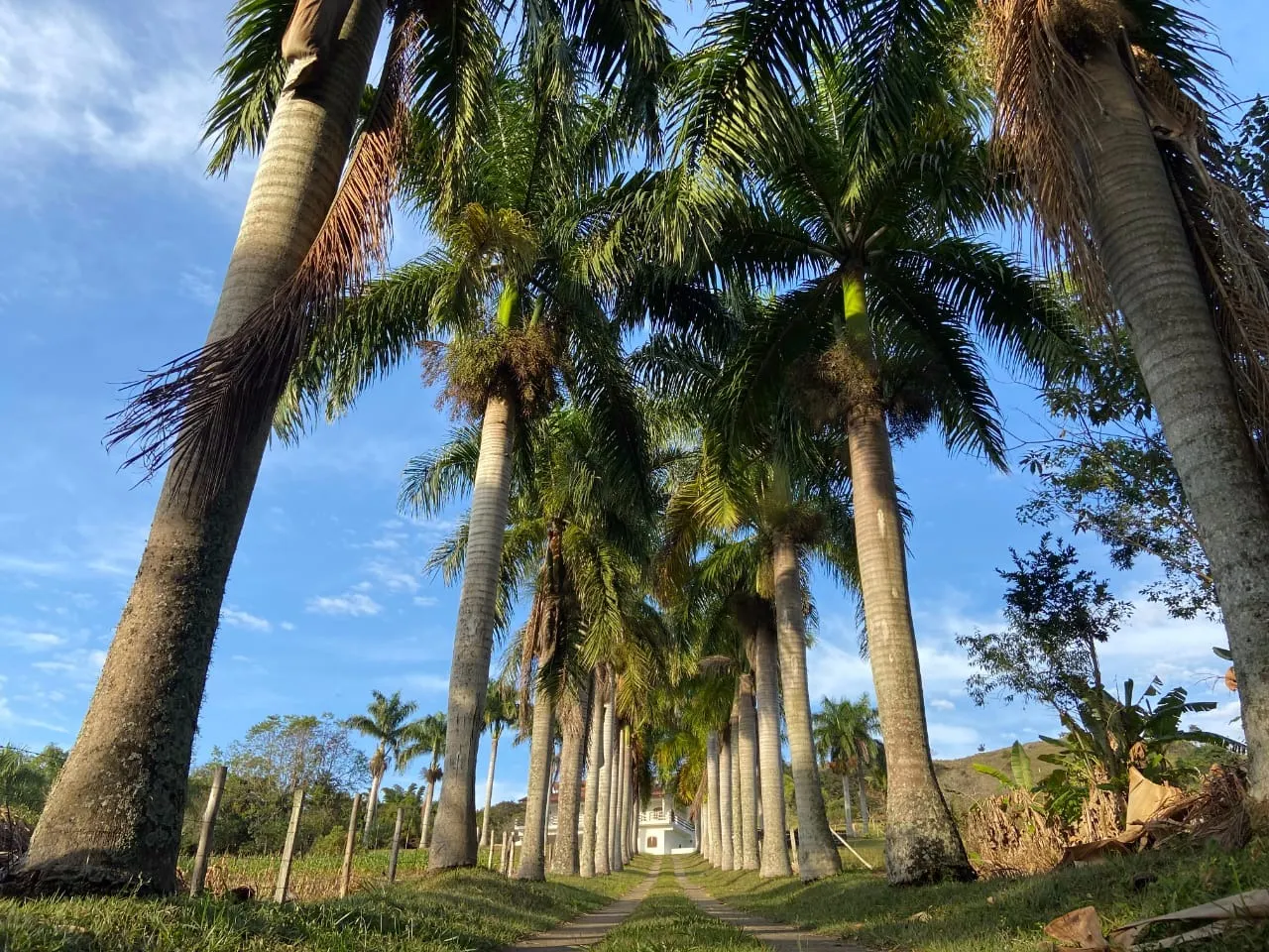 Small farm for sale of 8 acres in Paraibuna, SP, Brazil